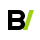 BitVa Flow Logo